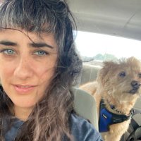 Kate Mooney (@yatinbrooklyn) 's Twitter Profile Photo Kate Mooney (@yatinbrooklyn) 's Twitter Profile Photo
