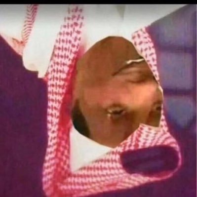 newtweeting2's profile picture. مغرد لا اكثر