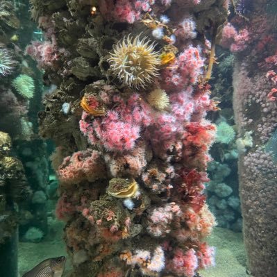 Lynnie1233's profile picture. 