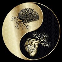 Jeevz.XRPL 🪝 🏴☠️ (@jeevz211) 's Twitter Profile
