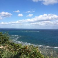 japanese man (@japanese_man1) 's Twitter Profile