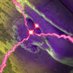 Kroc Gland / KLGBT Stream (@klgbtstream) Twitter profile photo Kroc Gland / KLGBT Stream (@klgbtstream) Twitter profile photo