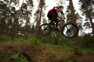 TheRealJackTodd's profile picture. Mark'O Hara's barmy army