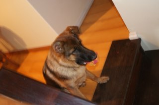 tinawilla's profile picture. 