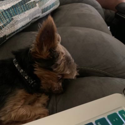 TB19863's profile picture. 