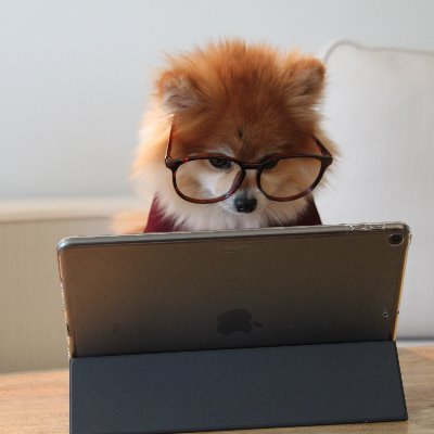 Webエンジニア。なんでも手を出す癖あり。今はブロックチェーンにお熱
趣味のツイート多めなはず
#ブロックチェーン