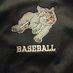 Bunker Hill C.C. Baseball (@bhcc_baseball) Twitter profile photo