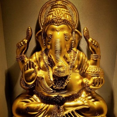 golden_zero267's profile picture. He/Him.