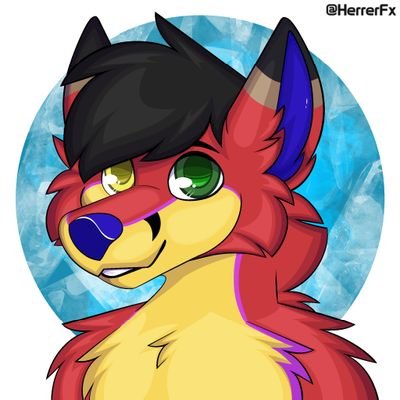 Shawnさんのプロフィール画像