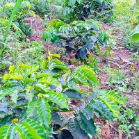 Elias (@elias36600432) 's Twitter Profile