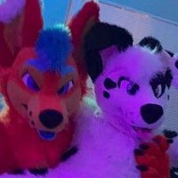 πΎβ
ββ£ββ βββ βΉβββββ£βββ (@dalmatianpatch) 's Twitter Profile