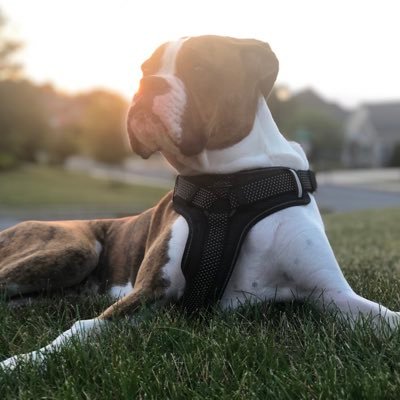 flipsidesid's profile picture. 