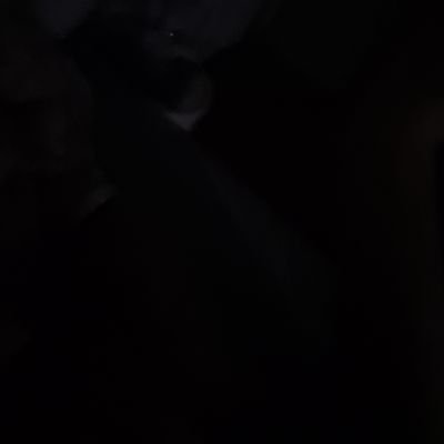 lpettinotti's profile picture. 