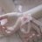 sun___0322's profile image