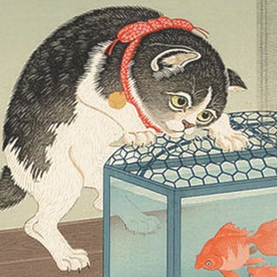 X始めたばかりで失礼があると思いますがよろしくです( ˊ̱˂˃ˋ̱ )
DMはわからないので開きません。