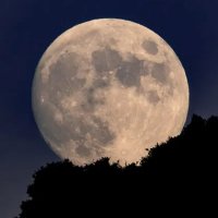 Sr Moon (@themoon_dom) 's Twitter Profile