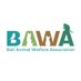 Yayasan BAWA (@yayasan_bawa) Twitter profile photo Yayasan BAWA (@yayasan_bawa) Twitter profile photo