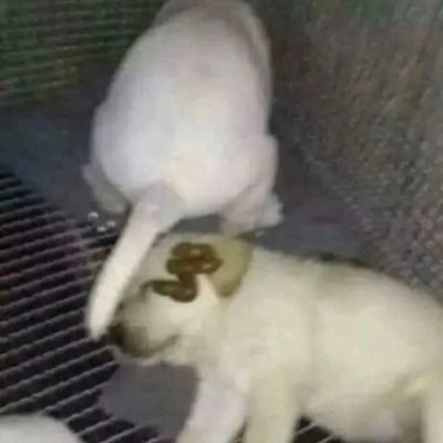 krispy_donutsss's profile picture. cuenta dedicada a fotos de carol distraída hasta que se de cuenta que existe esta cuenta :)