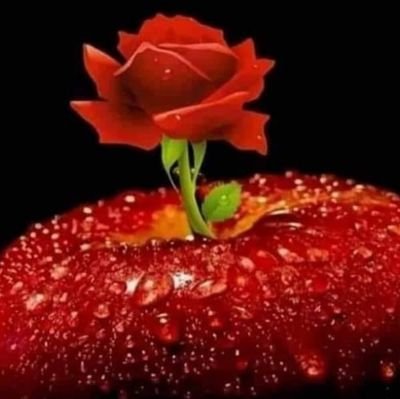 PiyushB99382618's profile picture. Fun Loving