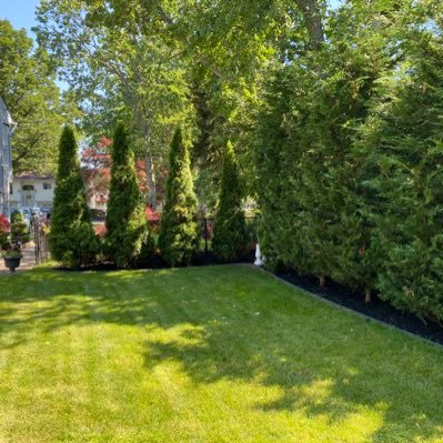 EspinalYohalmo's profile picture. trabajos