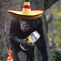 Cool mexican monkey(@cool_balls) 's Twitter Profileg