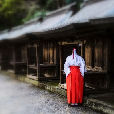 前世、前々世から巫女としての天命を受けております。

そして私は代々守護となりし
狐神の伝言を発信しているだけなのですが、
ここに辿り着きし方々に必要な情報なのだと狐は申しております。

【総督 → @Da_vinchi_jinja】