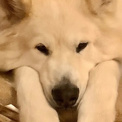 Elisa99684119's profile picture. 