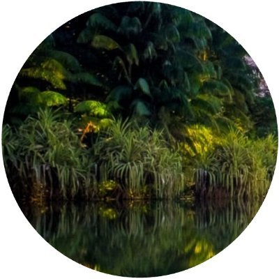 JulienCasali's profile picture. Enterprise Sales Exécutive @Google Cloud ☁️ Empowering Digital Natives 🚀🦄 with AI-driven 🤖Innovation 🧠 | Tweet are my own