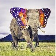 edgared58344210's profile picture. collectionneur de papillons.Dans mon portefeuille il y a un arc en ciel, tu as les lèvres aussi froides qu un café oublié
Notre monde c une honte