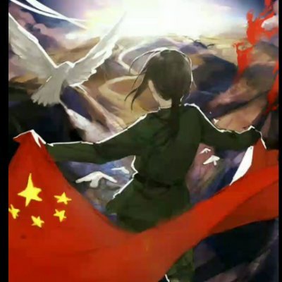 本人是高二生，祖国是中国。坚定维护祖国立场，讲好中国故事，传递真正的中国声音。反贼退散。是中国人的互关！家人们团结在一起，我们都是中国人！