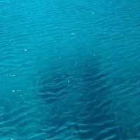 - (@salihhguney34) 's Twitter Profile