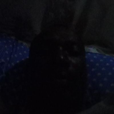 sea_djefferson's profile picture. 