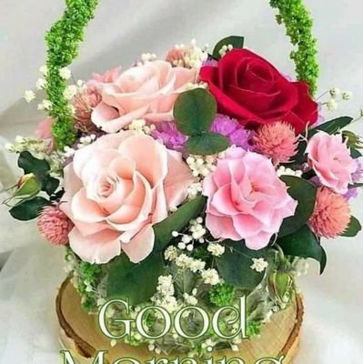 JyotiRa65369415's profile picture. Jyoti Rani

Jila sah syonjak social media
Bhajpa Mahila Morcha Sirsa Haryana