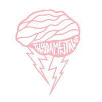 Thundamentals (@thundamentals) 's Twitter Profile
