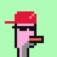 Rahayumiaagstn1's profile picture. 