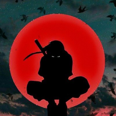 Sachinb06's profile picture. Computer science student