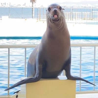 おん