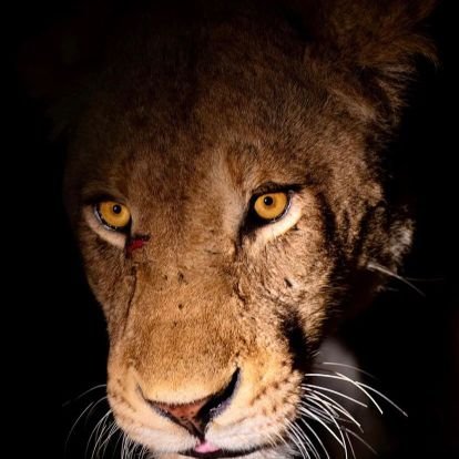 jack09876544's profile picture. 