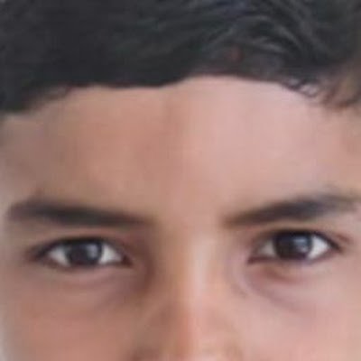 AlpeshY72834865's profile picture. I am a political observer and a far right believer and supporter.