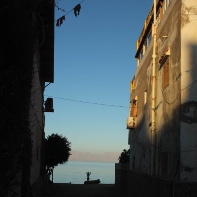 jordandov's profile picture. 