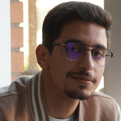 Full time hacker with pentesting and web development background