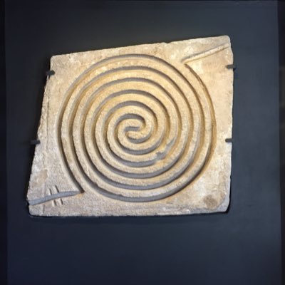 daosed's profile picture. learning