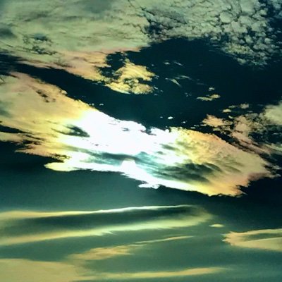 mo5121s's profile picture. 