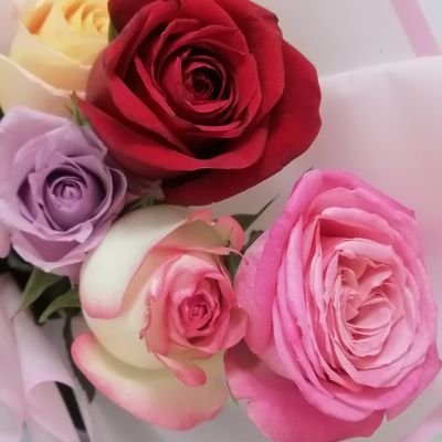 السَّلامُ عَلَيَّ يَوْمَ وُلِدْتُ وَيَوْمَ أَمُوتُ وَيَوْمَ أُبْعَثُ حَيّا
💜
🇸🇩
Be Human
Be Positive