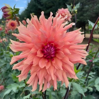 KLnRVA's profile picture. Having teenagers sucks, but they sure do make me laugh.