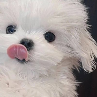 Harrysmmm's profile picture. 