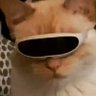 AryanS_88's profile picture. 