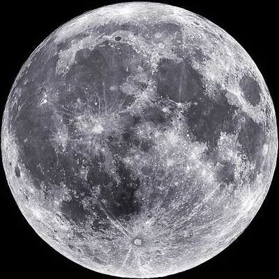 AcupOfJooj's profile picture. 