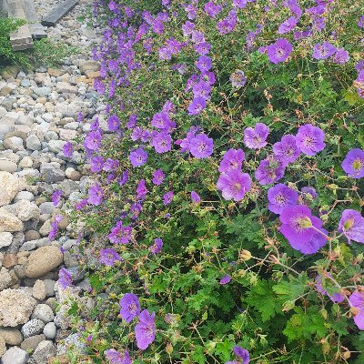 Passionné par l'enseignement et émerveillé chaque jour par la beauté de la nature.