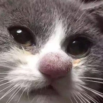 bubla18's profile picture. 